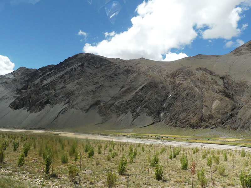Plantation d'arbres près de la ville de Sakya (septembre 2019) Plantation d'arbres près de la ville de Sakya (septembre 2019)