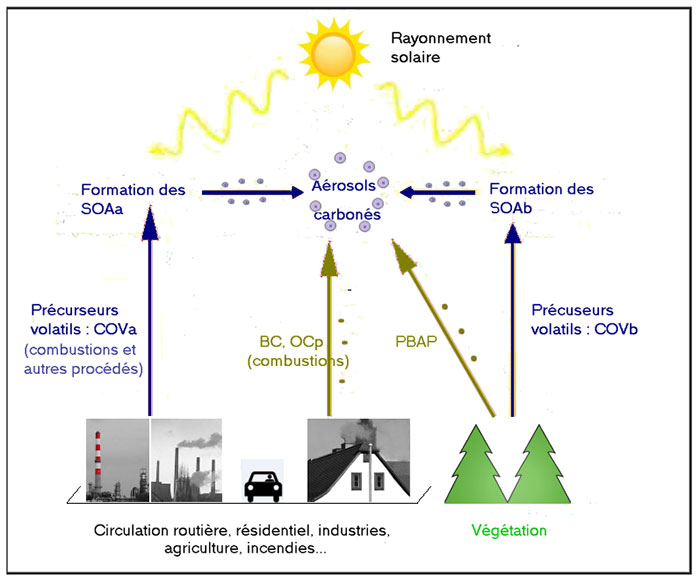COV: composés organiques volatils BC: Carbone noir OC: carbone organique PBAP: aérosols primaires biogéniques SOA: aérosols organiques secondaires COV: composés organiques volatils BC: Carbone noir OC: carbone organique PBAP: aérosols primaires biogéniques SOA: aérosols organiques secondaires