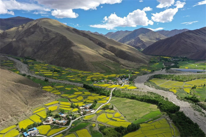 le village de Qangkyim du canton de Lhayu du comté de Qonggyai de la ville de Lhoka de la région autonome du Tibet. 2021. (Wang Hu / Pic.people.com.cn)
