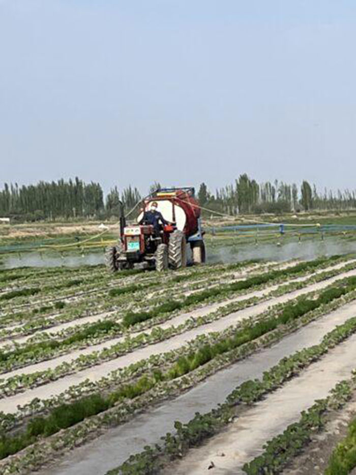 Environ 90 % de l'agriculture est mécanisée au Xinjiang, mai 2023