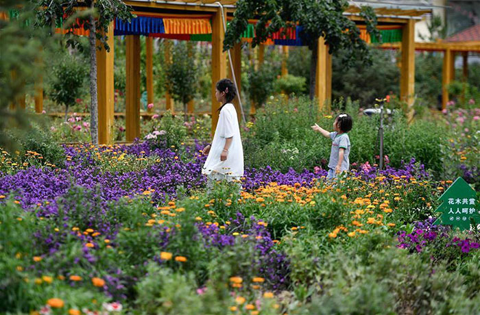 Village de Deji au Qinghai (photo de 