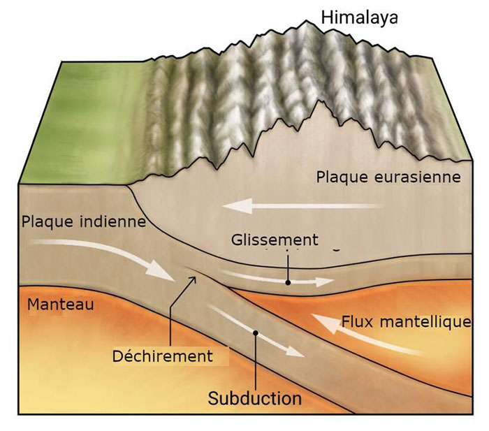 Schéma représentant le déchirement de la plaque indienne dans l'épaisseur au niveau du Tibet. D'après N. BURGESS/SCIENCE dans https://www.geo.fr/environnement/une-dechirure-de-la-plaque-tectonique-indienne-au-niveau-du-tibet-himalaya-est-elle-en-train-de-se-produire-helium-3-croute-manteau-218411