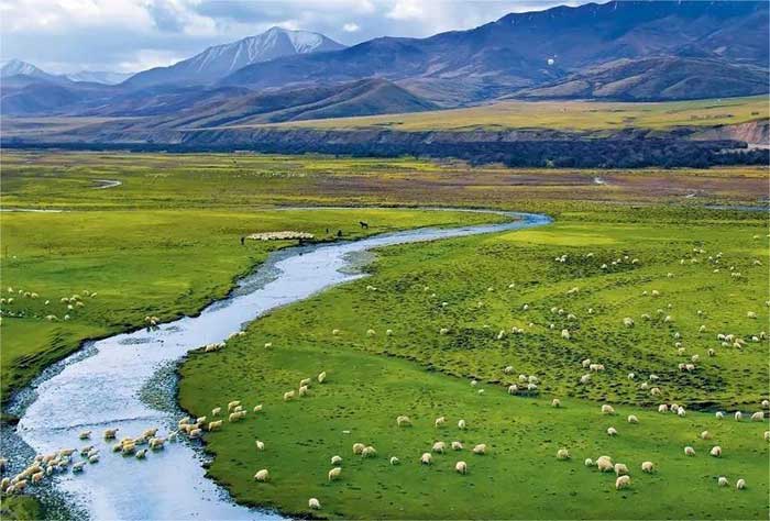 Zone humide de Sanjiangyuan sur le plateau Qinghai-Tibet Zone humide de Sanjiangyuan sur le plateau Qinghai-Tibet