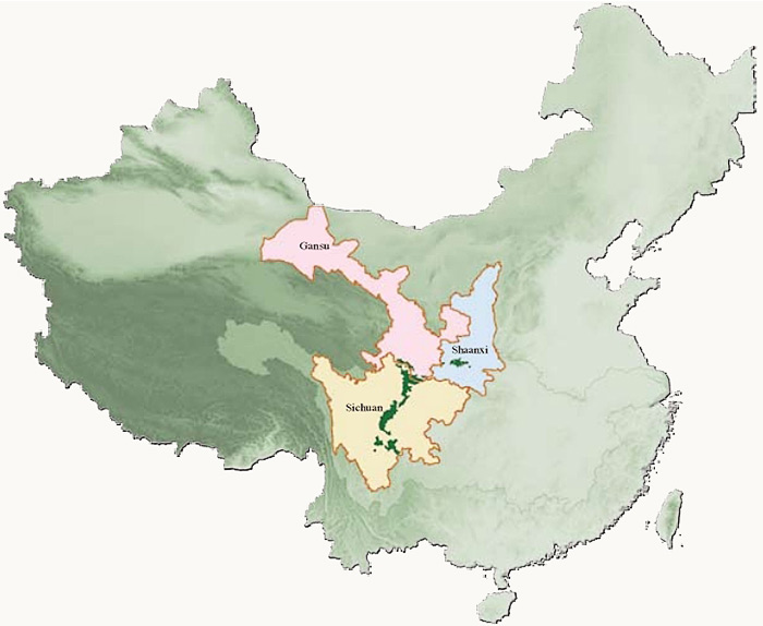 Habitat et répartition des pandas dans le sud-ouest de la Chine
