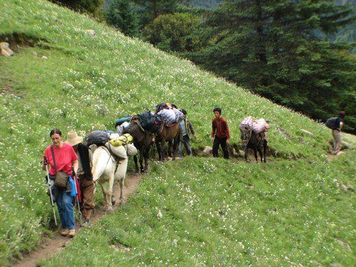 le fameux trekking