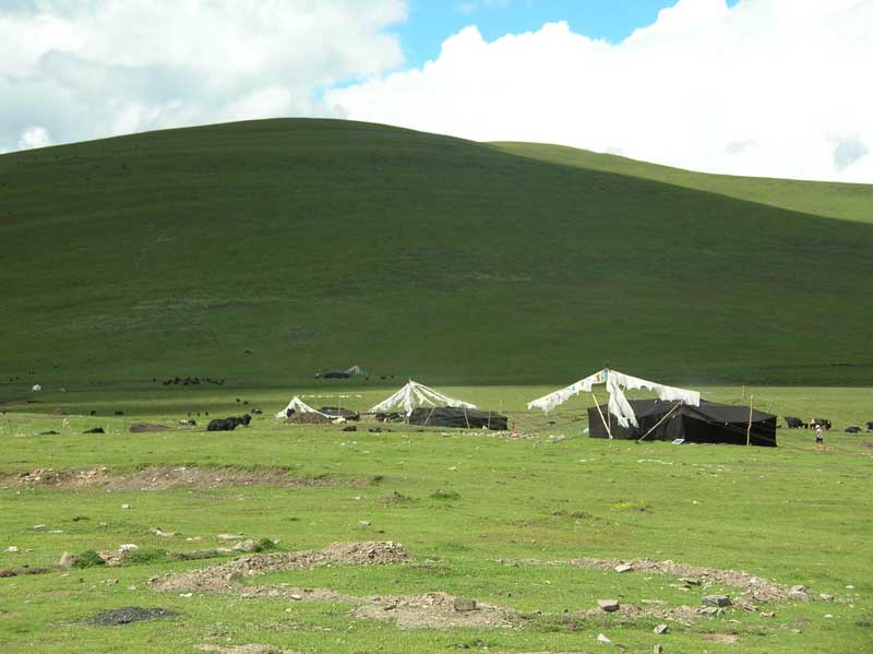 semi-nomades et troupeau de yack dans le Qinghai (photo JPDes., 2005) semi-nomades et troupeau de yack dans le Qinghai (photo JPDes., 2005)