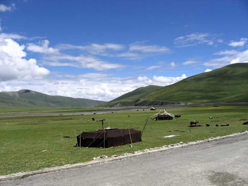 Transhumance sur le haut plateau (photo JPDes. 2005)