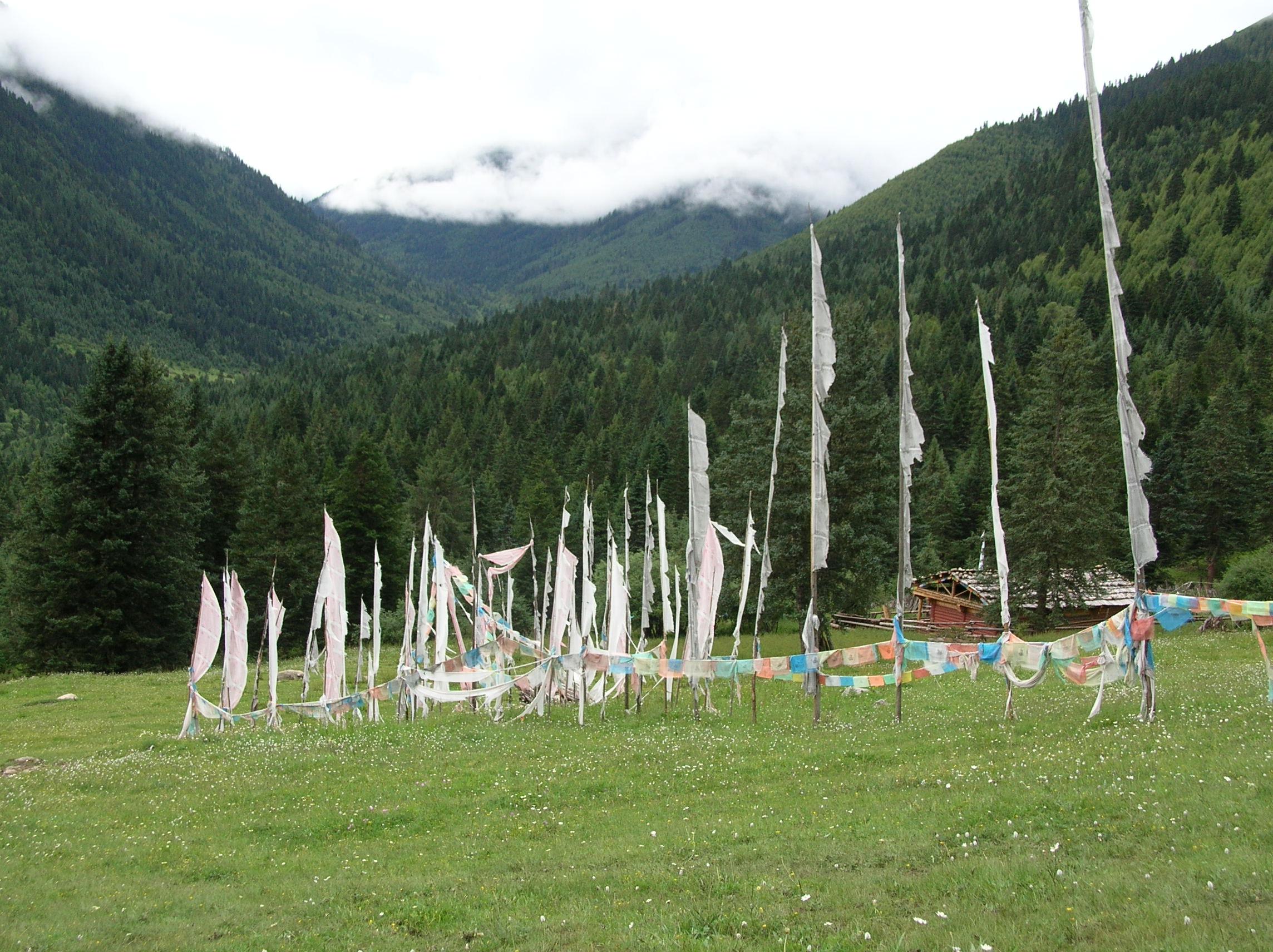 sur le versant Est du Haut Plateau au Sichuan (photo JPDes., 2007)