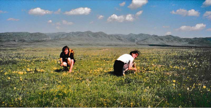 La steppe de Sangke près de Xiahe dans le Gansu (Photo André Lacroix, 1999)