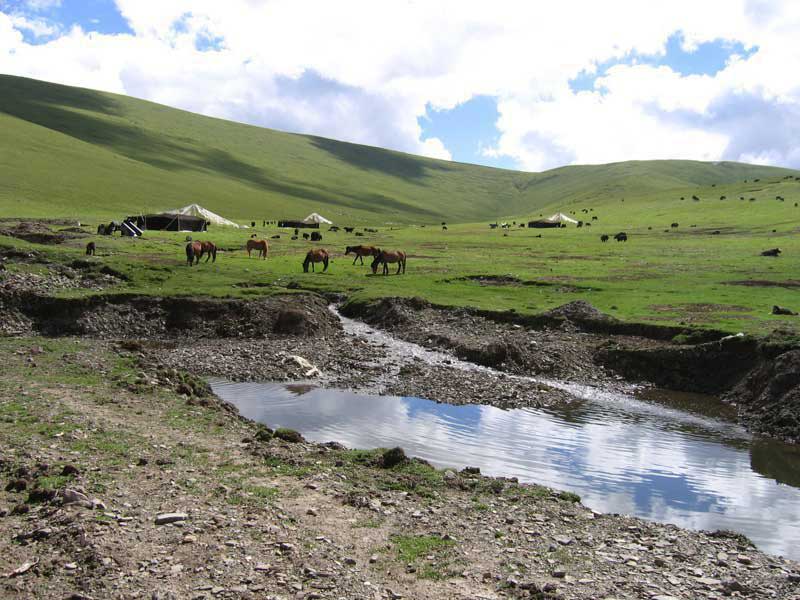 Transhumance n’est pas nomadisme, (Photo Jean-Paul Desimpelaere, 2005) Transhumance n’est pas nomadisme, (Photo Jean-Paul Desimpelaere, 2005)