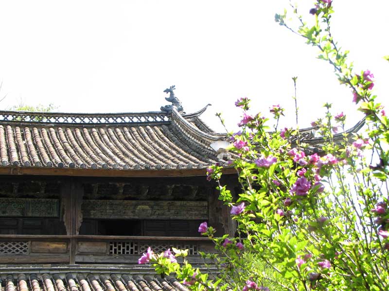 Toit de Lijiang (photo Jpdes 2007)