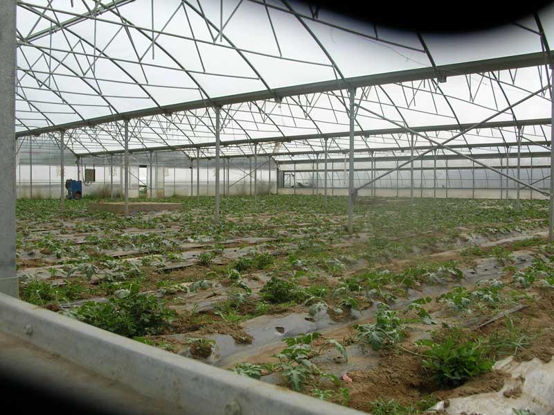 Serre à légumes dans la région de Lhassa (2005)
