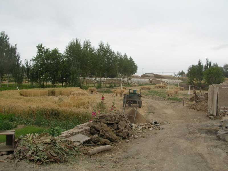 Le village de Dongcun (JPD 2007) Le village de Dongcun (JPD 2007)