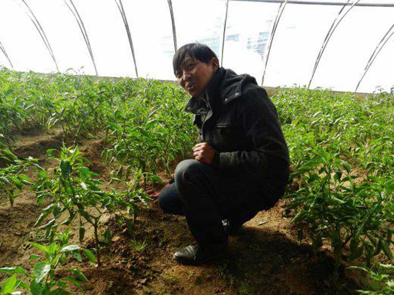 le directeur, fier de ses légumes (photo Thérèse De Ruyt, 2012)