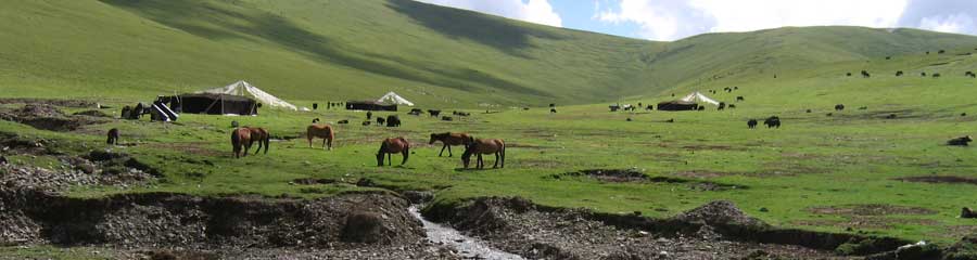 TibetDoc_org_Slide_065.jpg