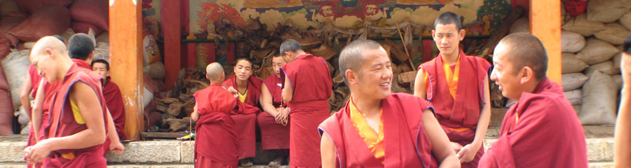 tibetdoc_141.jpg